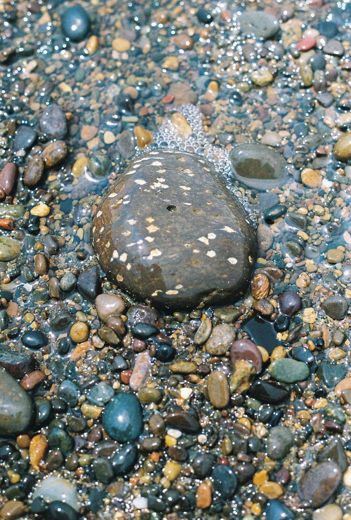 photograph
